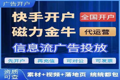 SEM代运营机构成功案例：优化策略与效果分析